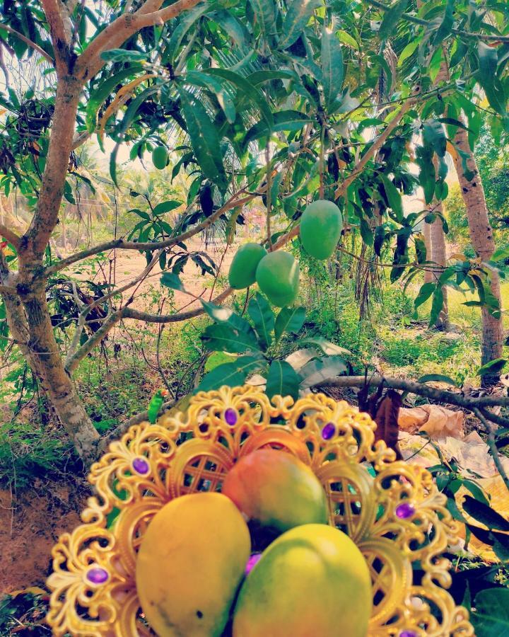 The Big Pineapple Estate Villa Udupi Bagian luar foto