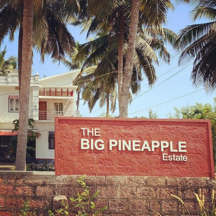 The Big Pineapple Estate Villa Udupi Bagian luar foto